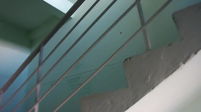 Чпокнул зрелую пухленькую брюнетку, после быстрого минета на лестнице.