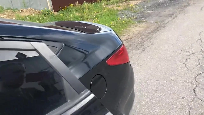 Таксист охуел от суки-клиентки и сделал внеплановую остановку для наказания